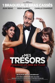 Mes trésors L'affiche du film Mes trésors