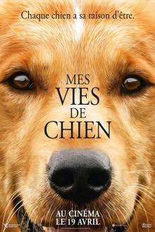 Mes vies de chien L'affiche du film Mes vies de chien