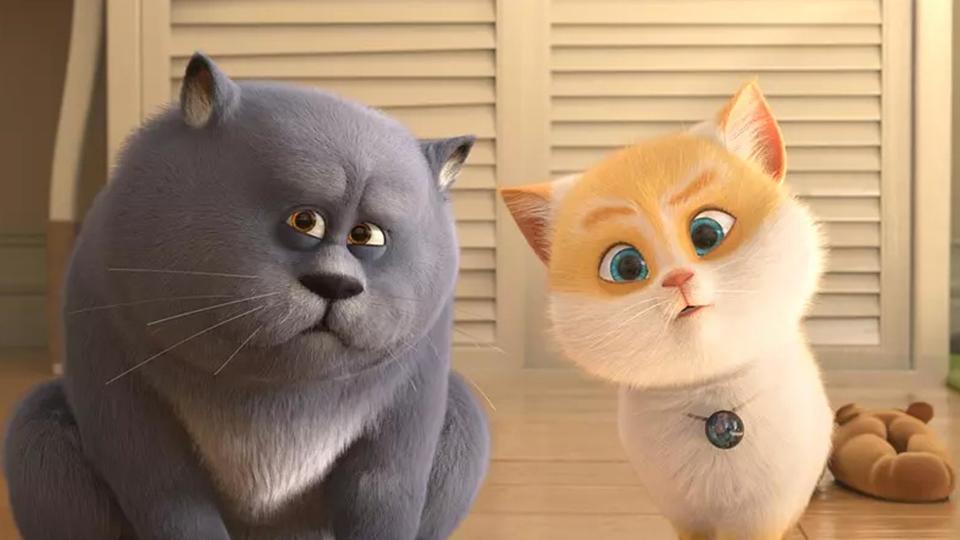 Le Chat Le Plus Riche Du Monde Film Oscar et le monde des chats | Kinepolis France